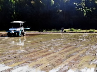 山の中の広大な田んぼに田植え