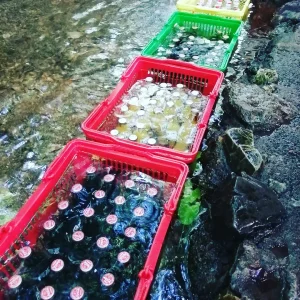 水神公園の清流で冷やされたジュース