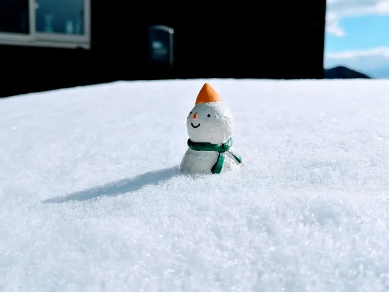 雪に埋もれた雪だるま