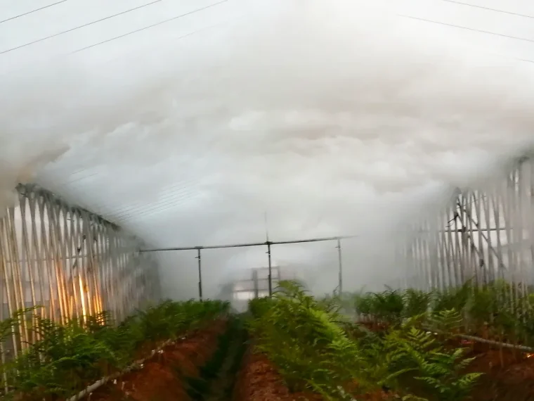 まるで雲のような燻煙タイプの防除剤