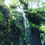 水神公園の滝