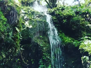 水神公園の滝